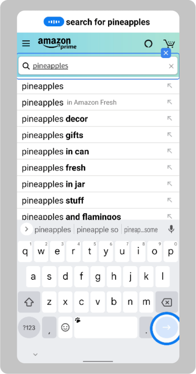 Voice Access cursor enters the search term pineapples in a search field and
    taps next start the search.